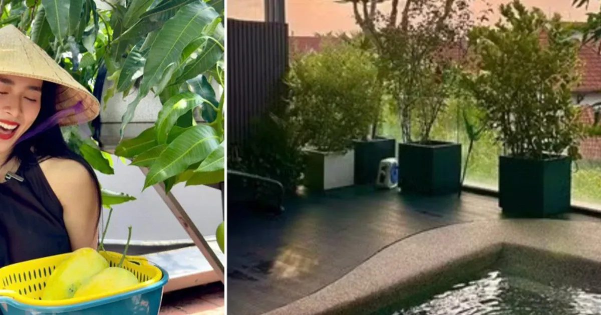 Mẹ đơn thân biến nhà phố 100m² thành tổ ấm xanh mát