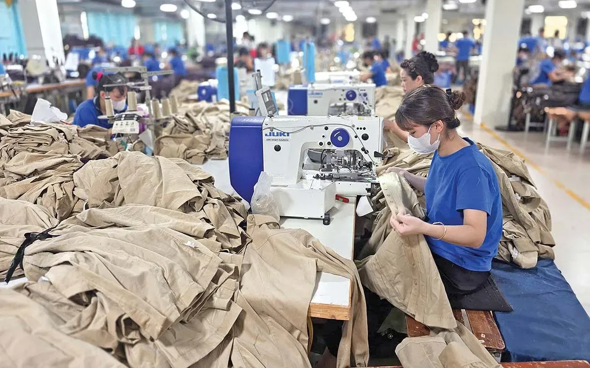 Nông sản Việt trước rào cản xanh mới từ EU: thay đổi hay bị loại khỏi cuộc chơi?