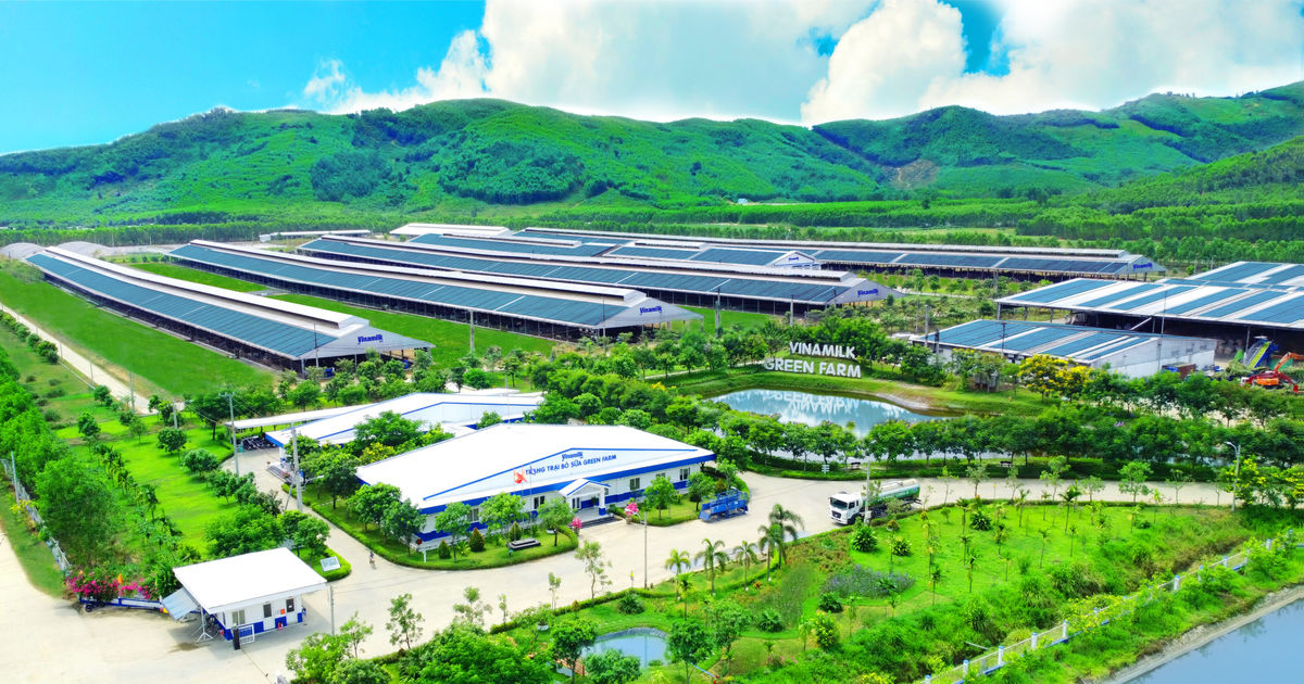 Vì sao giá trị thương hiệu Việt vẫn tụt hậu trước các tập đoàn toàn cầu?
