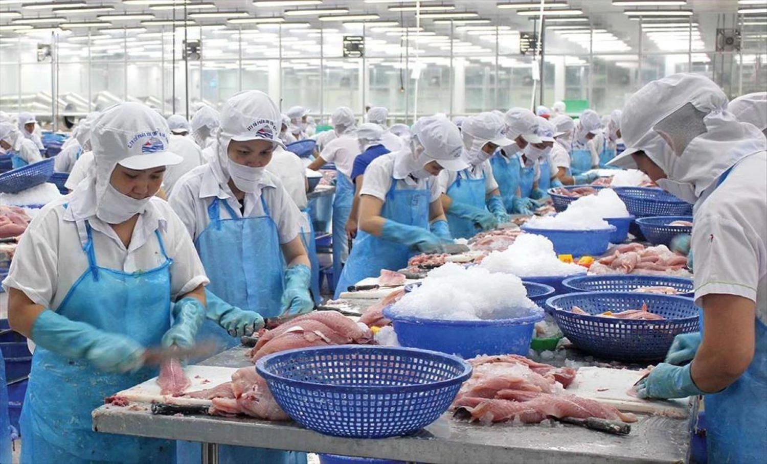 Thủy sản Việt Nam chinh phục thị trường Canada với tôm và cá tra