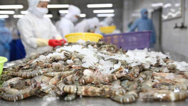 Xuất khẩu thủy sản Việt Nam đối mặt áp lực kép từ thị trường Mỹ
