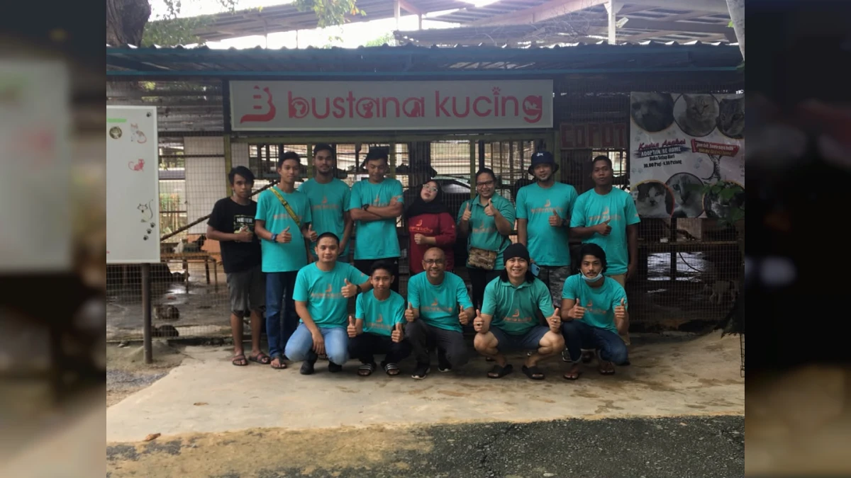 Di Sebalik Bustana Kucing: Sukarelawan Mengubah Hidup Si Meow Terbiar