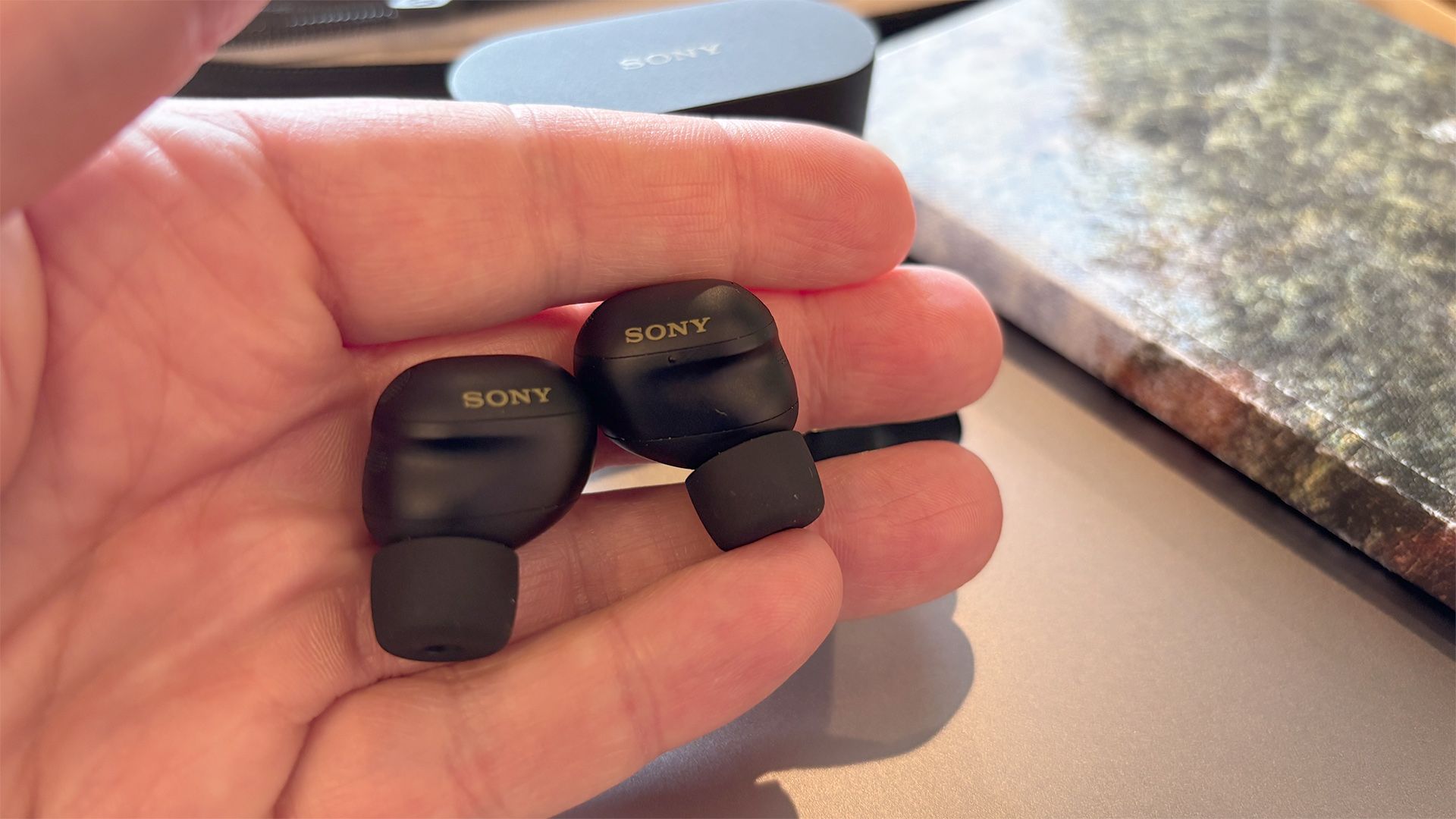 Sony WF-1000XM6 vs Sennheiser Momentum True Wireless 5: chọn tai nghe true wireless cao cấp nào?