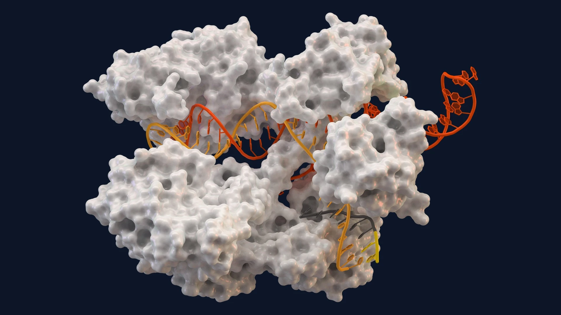 Một lần tiêm CRISPR hạ LDL 53%: Cú xoay trục trong phòng ngừa tim mạch