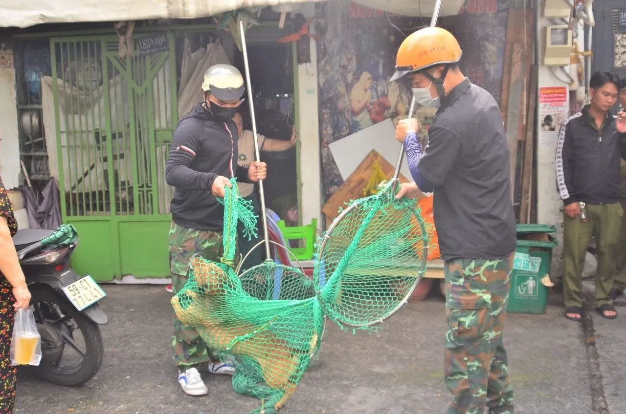 Bị chó mèo cắn không phải chuyện nhỏ: Hướng dẫn xử lý và phòng ngừa bệnh dại