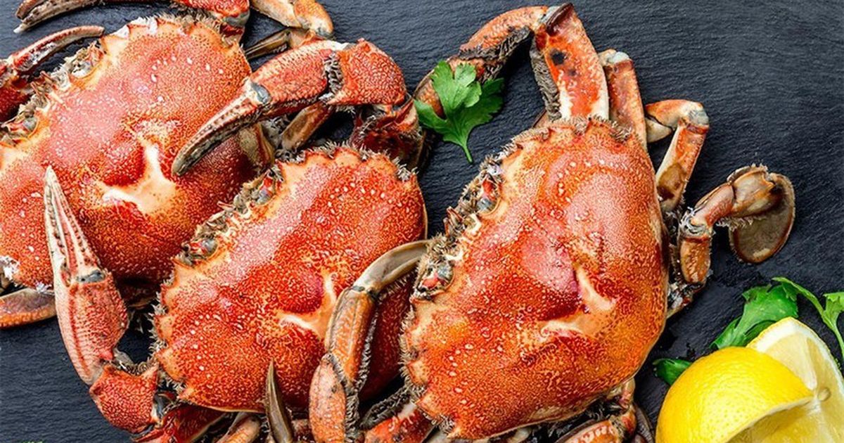 Những bộ phận của cá và cua cần tránh để ăn hải sản an toàn