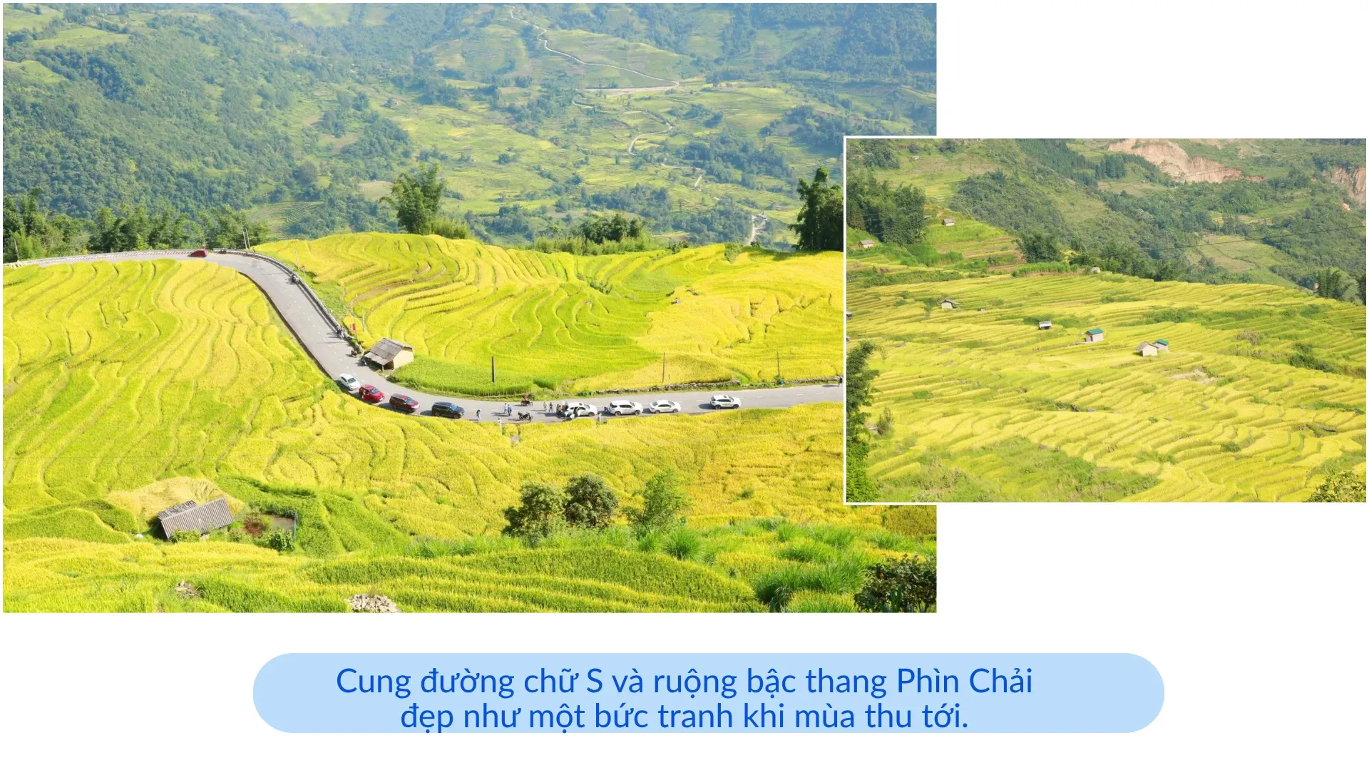 Leo núi mùa hoa: Khi Tà Chì Nhù thành “cao tốc giờ cao điểm”