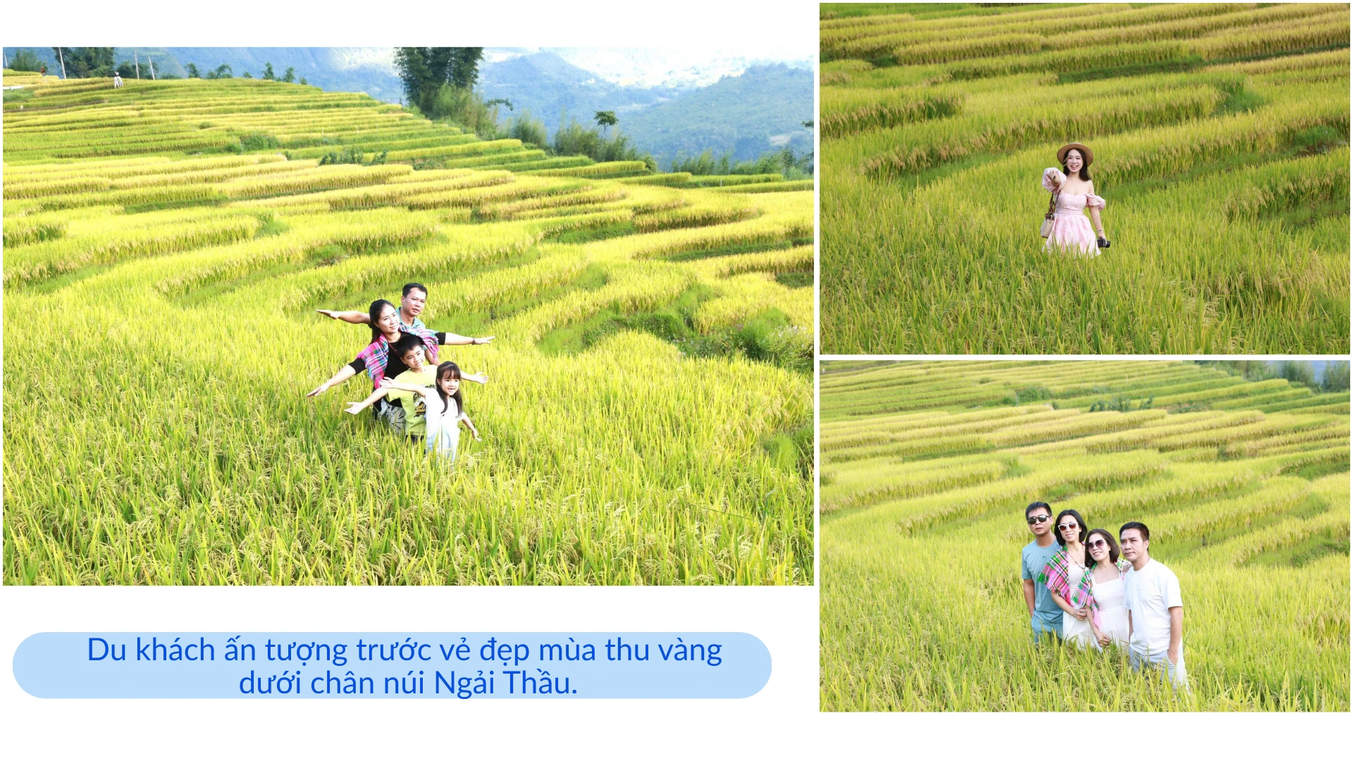 Leo núi mùa hoa: Khi Tà Chì Nhù thành “cao tốc giờ cao điểm”