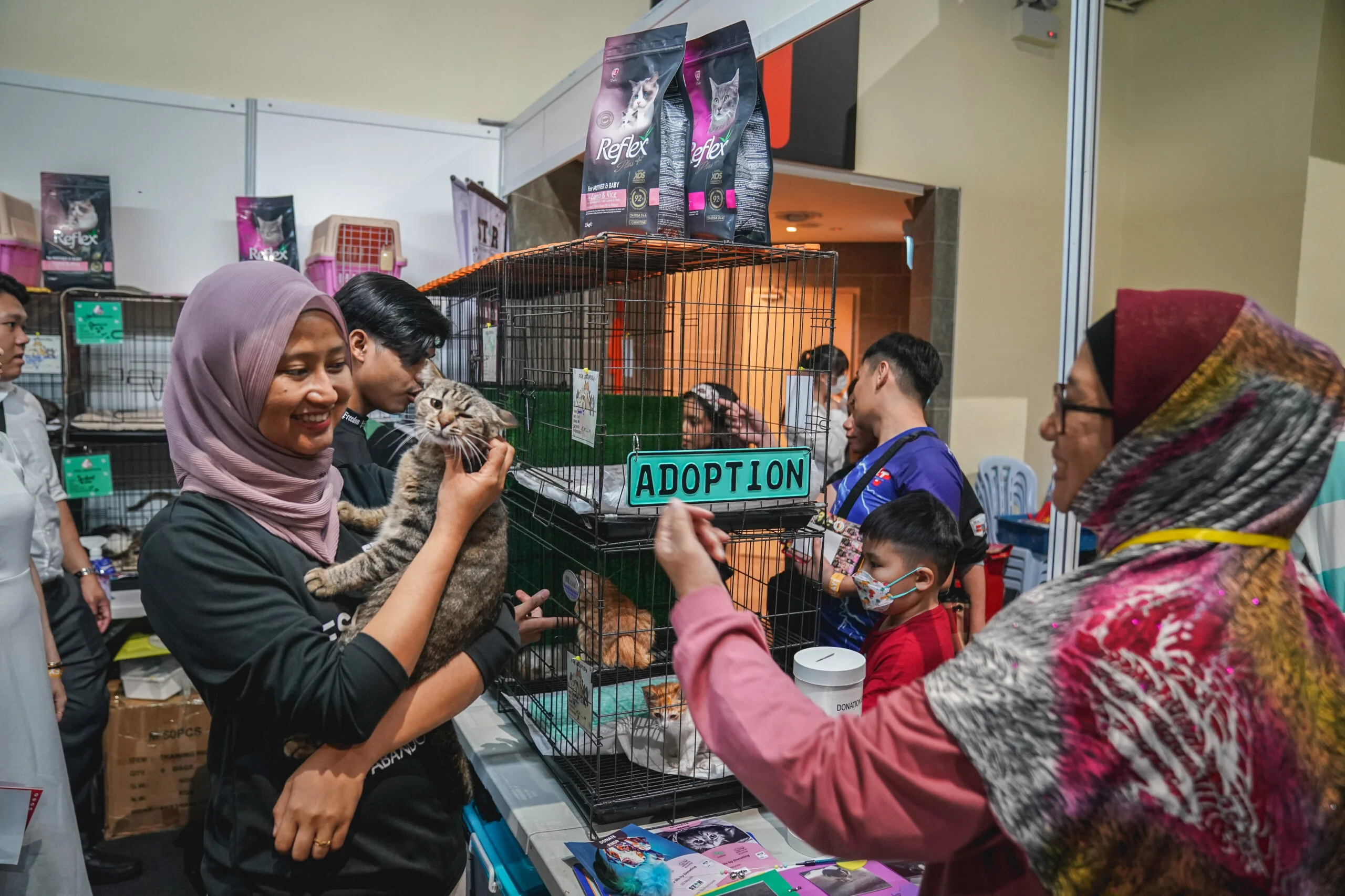Ekspo Kucing: Panduan Lengkap Pertandingan, Adopsi & Persiapan