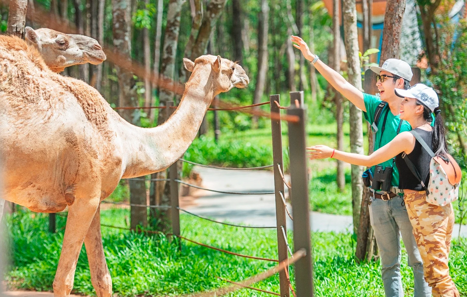 Safari Ba Vì 10.000 tỷ đồng: bước ngoặt cho du lịch sinh thái Hà Nội?