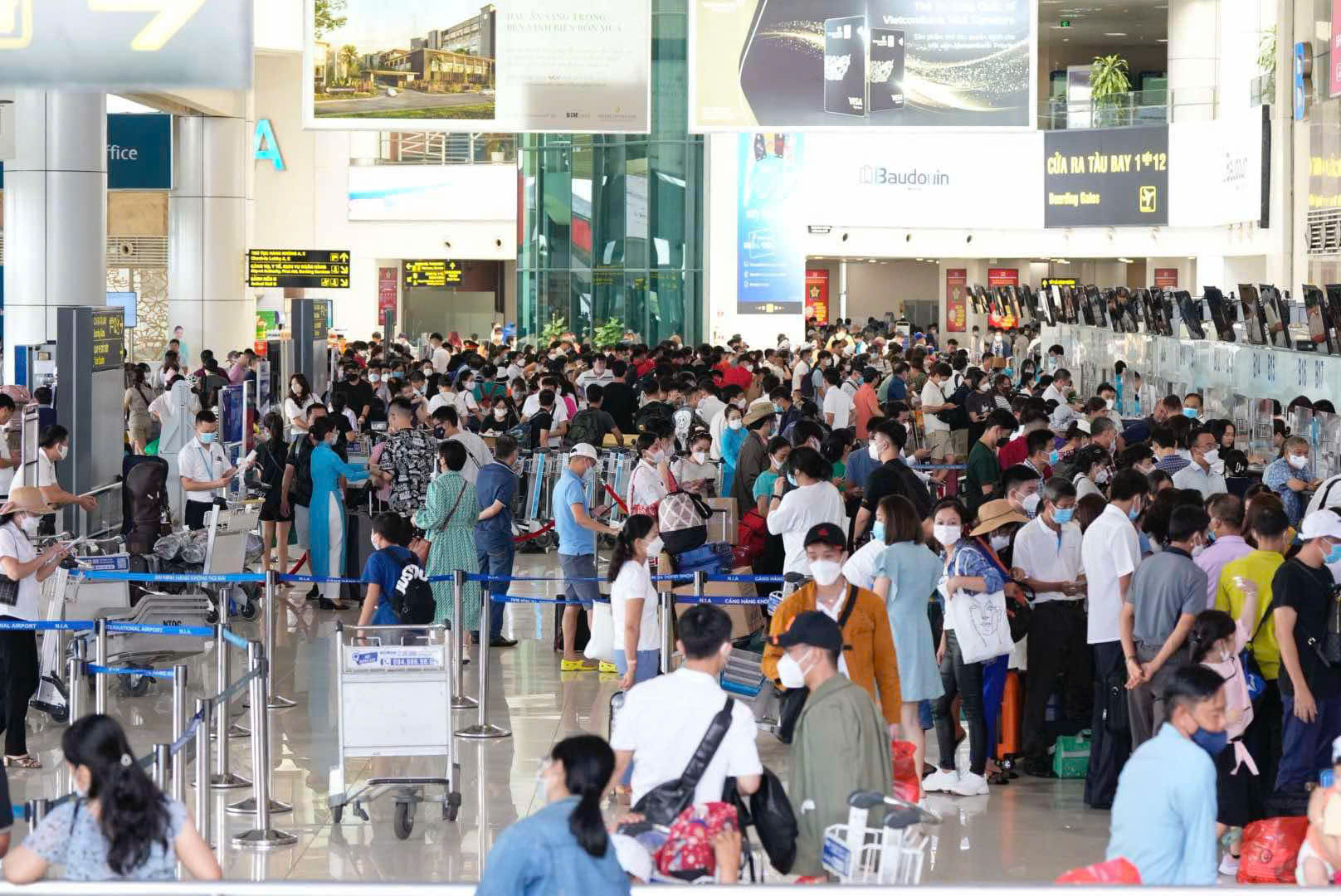 Vé máy bay Tết Đinh Mùi tăng 10-20%: Nên mua ngay hay chờ?