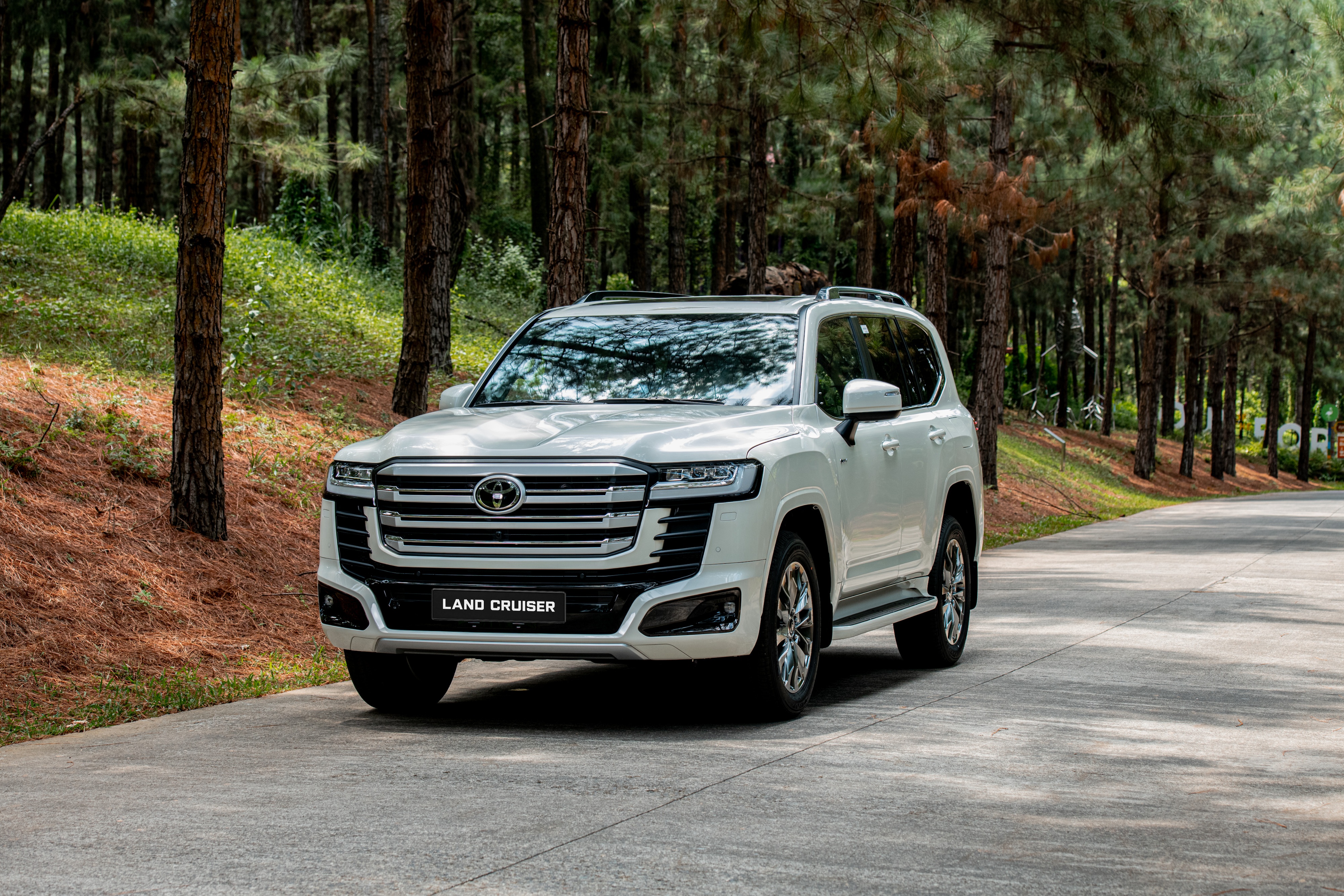 Toyota hybrid chiếm 67% thị phần: Cuộc chơi xe tiết kiệm xăng đã ngã ngũ