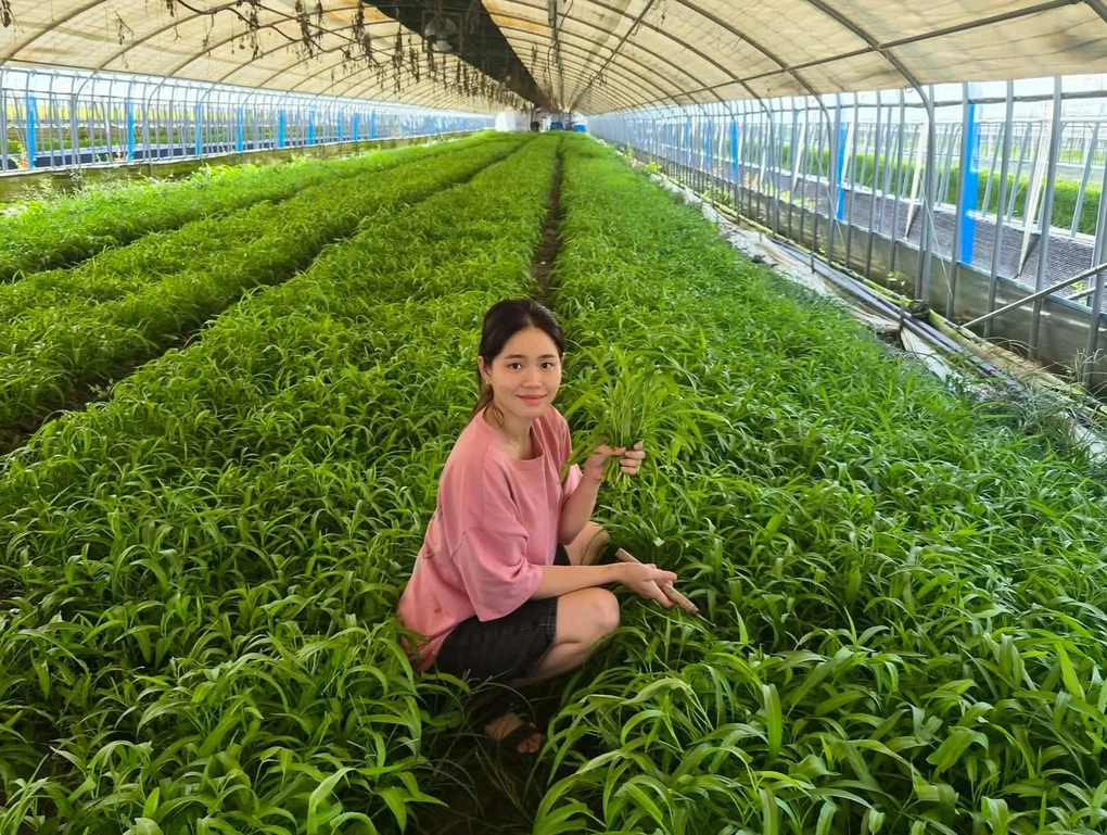 Nàng dâu Việt ở Hàn Quốc biến rau muống thành nông sản đắt giá