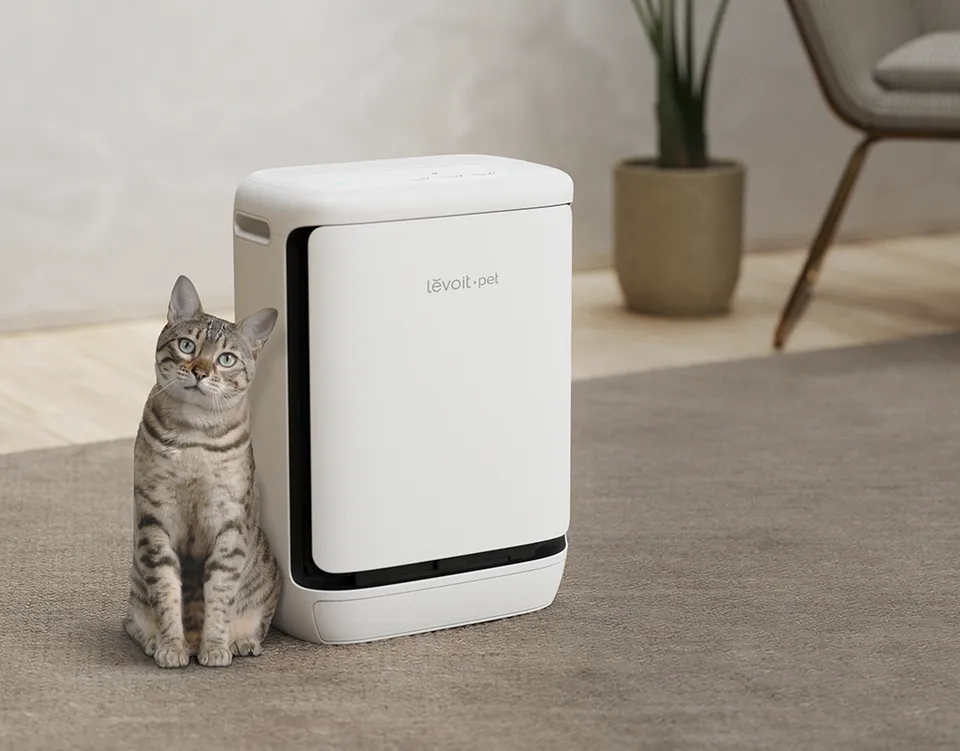 Máy lọc không khí cho thú cưng: Nên chọn Levoit Eleva 300X hay Acerpure Pro P5 Pet Care?