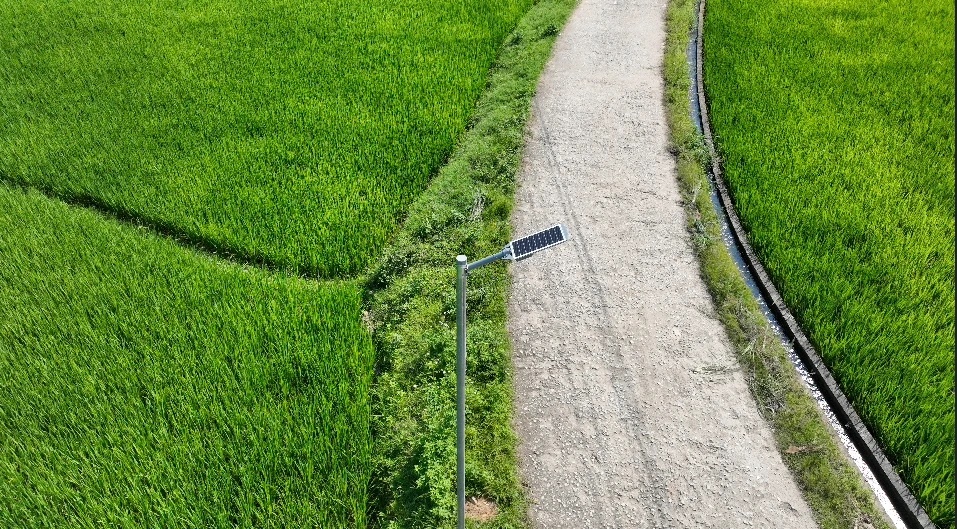 Làm sáng những vùng quê hẻo lánh với đèn năng lượng mặt trời