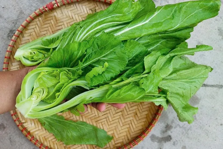 Xà lách lá và cải bẹ xanh: 2 lựa chọn rau lá xanh giá rẻ nên mua