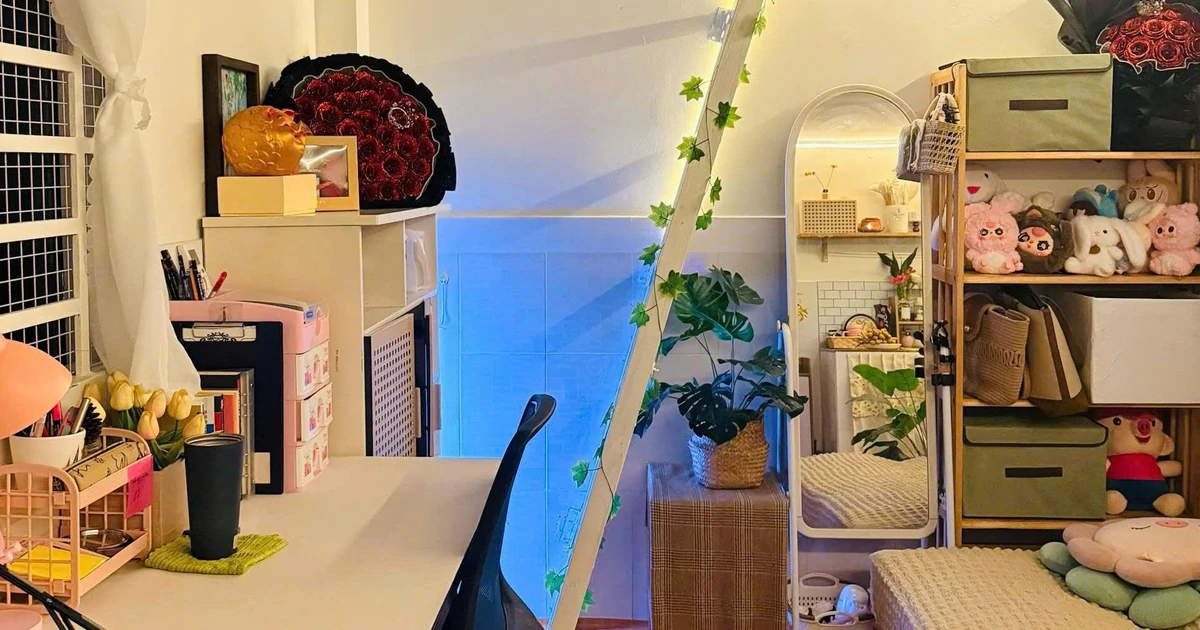 Người ở thuê dài hạn chi mạnh tay cho sofa và đèn chùm