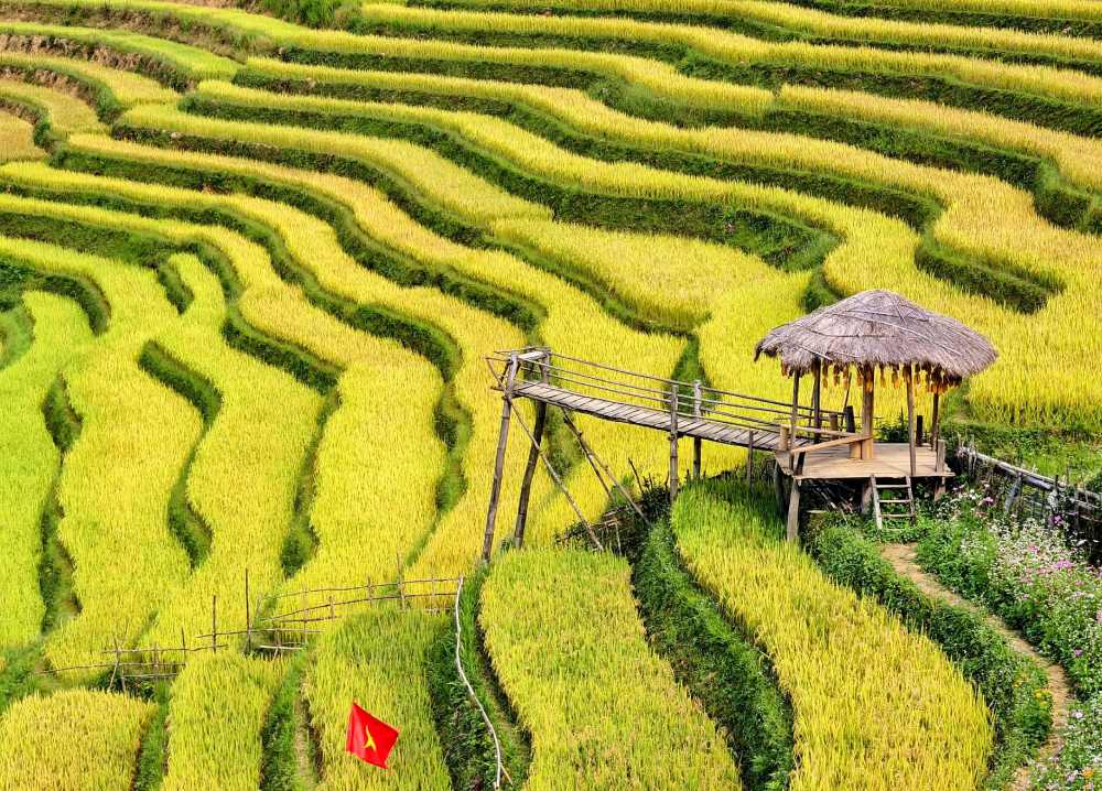 Săn ánh sáng vàng: Hướng dẫn chụp phong cảnh Việt Nam từ bình minh đến hoàng hôn