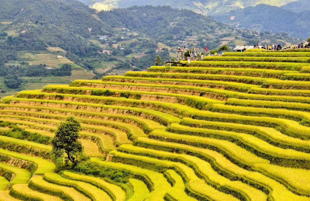 Săn ánh sáng vàng mùa thu tại ba điểm đẹp nhất Việt Nam