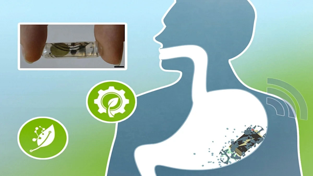 Pin giấy nuốt được: Bước ngoặt cho thiết bị y tế thông minh trong cơ thể