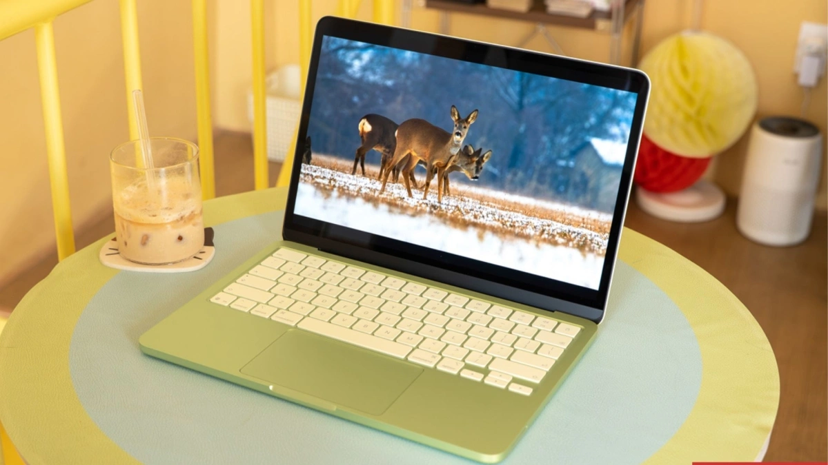Laptop AMD cho dựng video 4K: chuẩn màu, hiệu năng mạnh