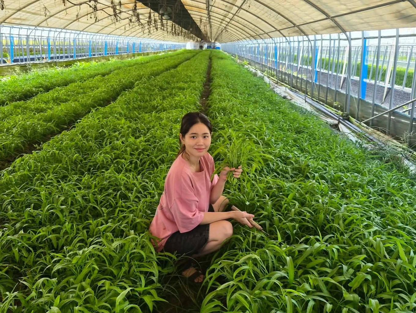 Từ dâu xứ Hàn đến nông dân triệu đô trên sóng livestream