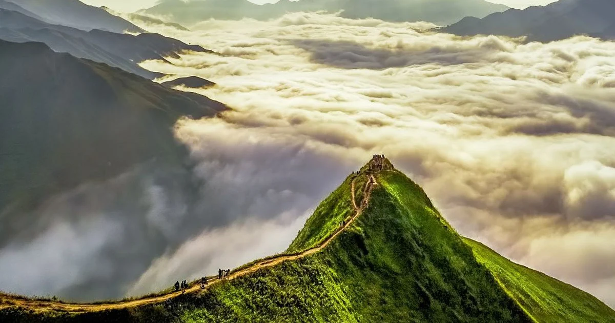 Việt Nam giành nhiều danh hiệu tại World Travel Awards: Vị thế điểm đến hàng đầu châu Á
