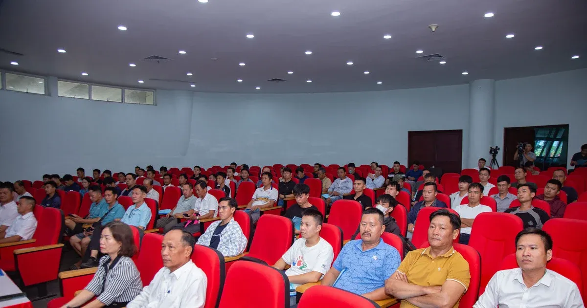 Đà Nẵng nâng chuẩn đào tạo cứu hộ bơi để thành điểm đến an toàn