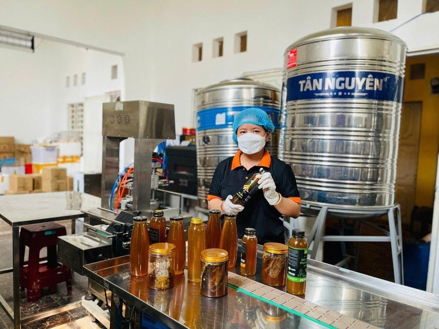 Gia Lai biến nông nghiệp truyền thống thành công nghiệp xanh như thế nào?