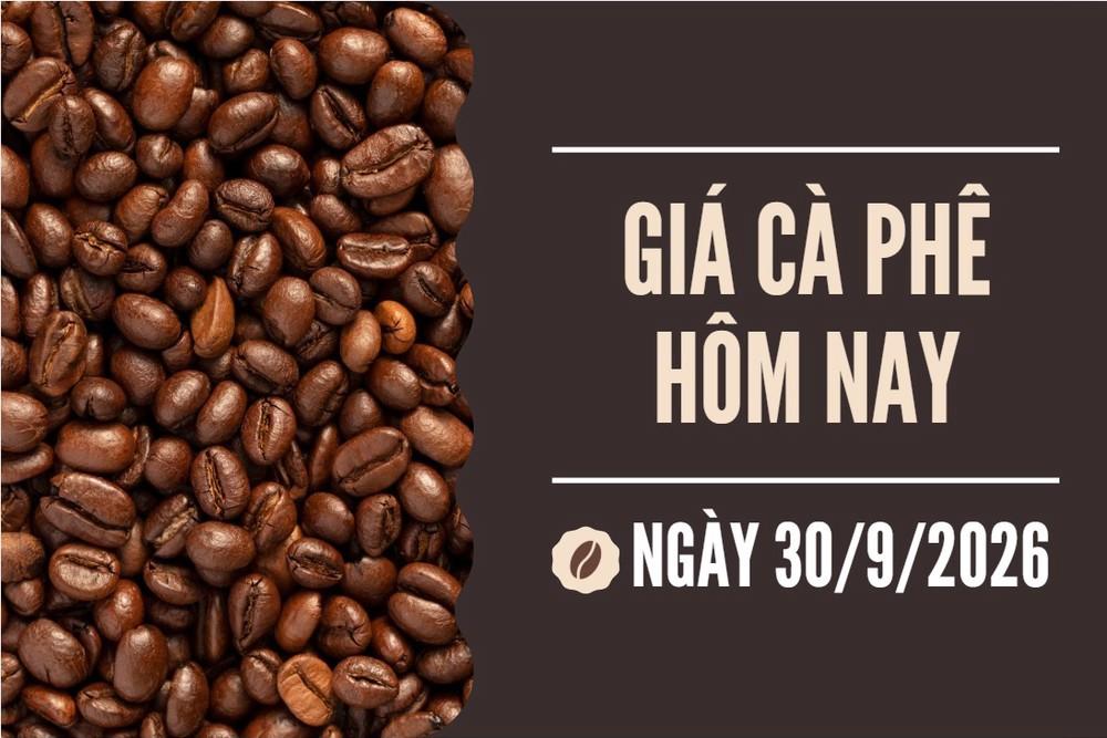 Sản lượng kỷ lục của Brazil: Cú hích đảo chiều thị trường cà phê