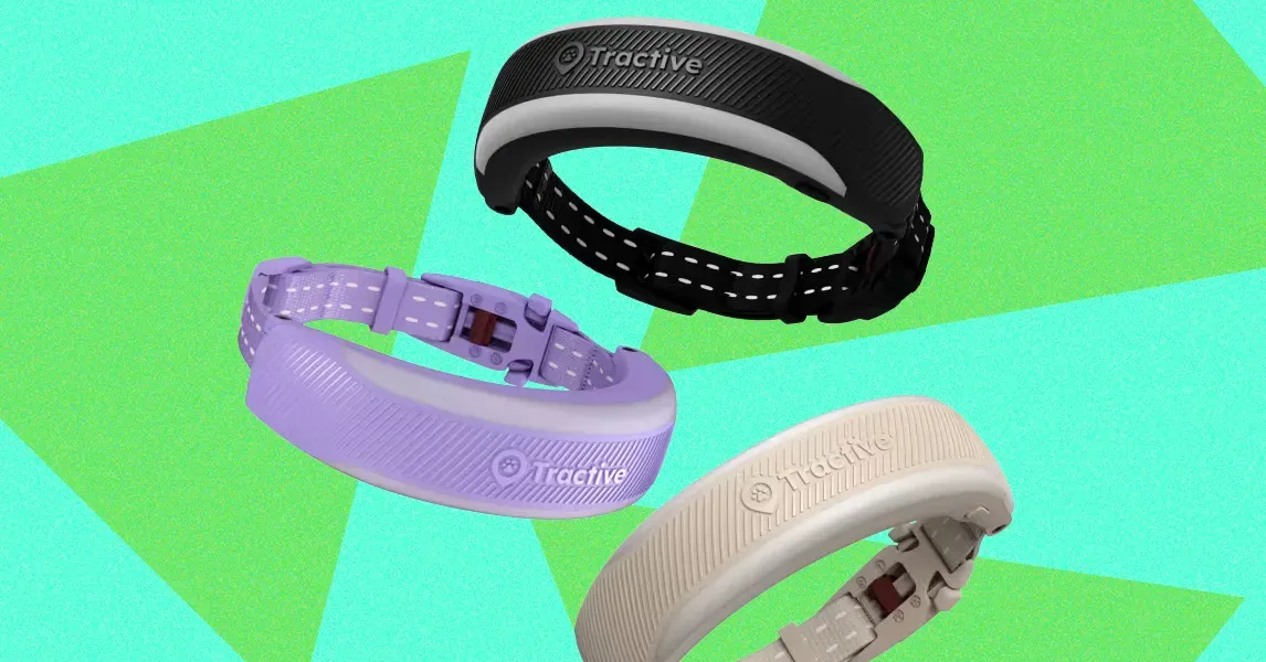 Vòng cổ thông minh cho mèo: Nên chọn Tractive Cat tracker hay Fi Mini collar?