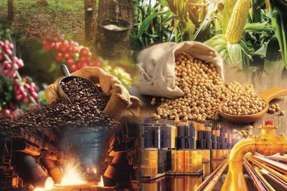 Thị trường phái sinh Việt Nam: Từ phòng ngừa rủi ro đến tham chiếu giá