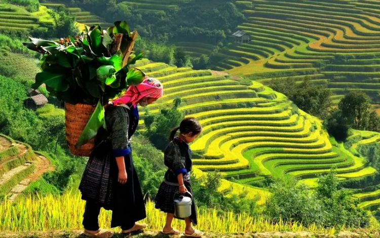 Du lịch cộng đồng mở lối sinh kế bền vững cho vùng miền núi