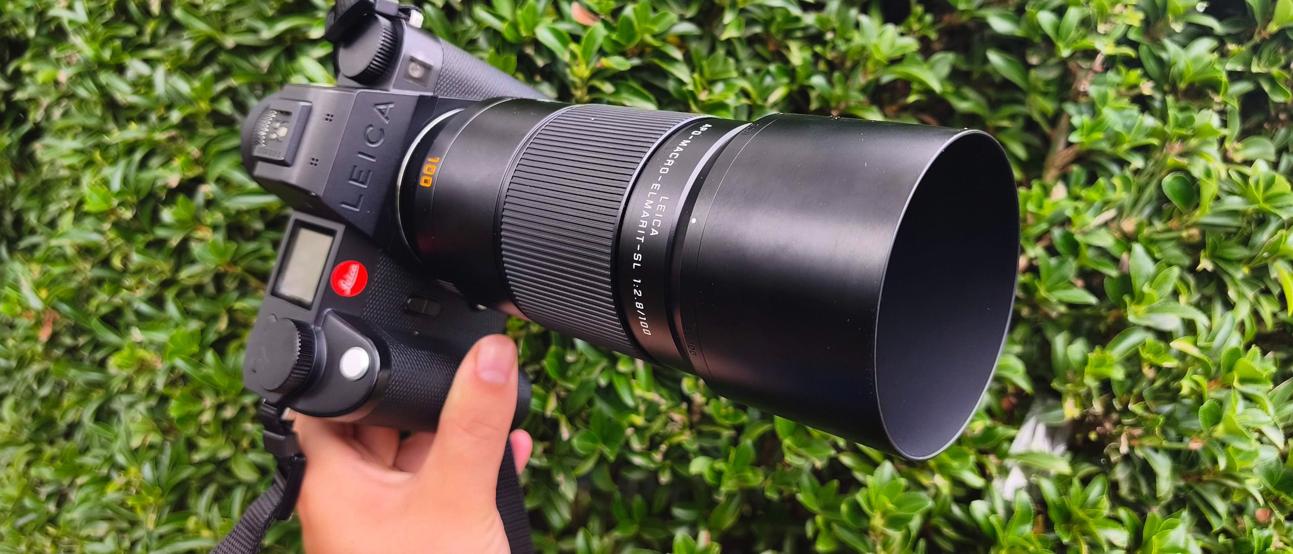 Laowa 35mm f/2.8 APO Macro vs Leica 100mm f/2.8: Chọn ống kính nào cho macro full-frame?