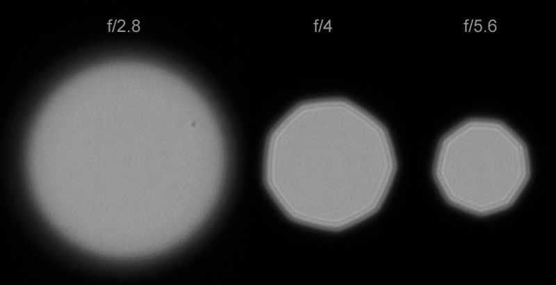 Laowa 35mm f/2.8 APO Macro vs Leica 100mm f/2.8: Chọn ống kính nào cho macro full-frame?