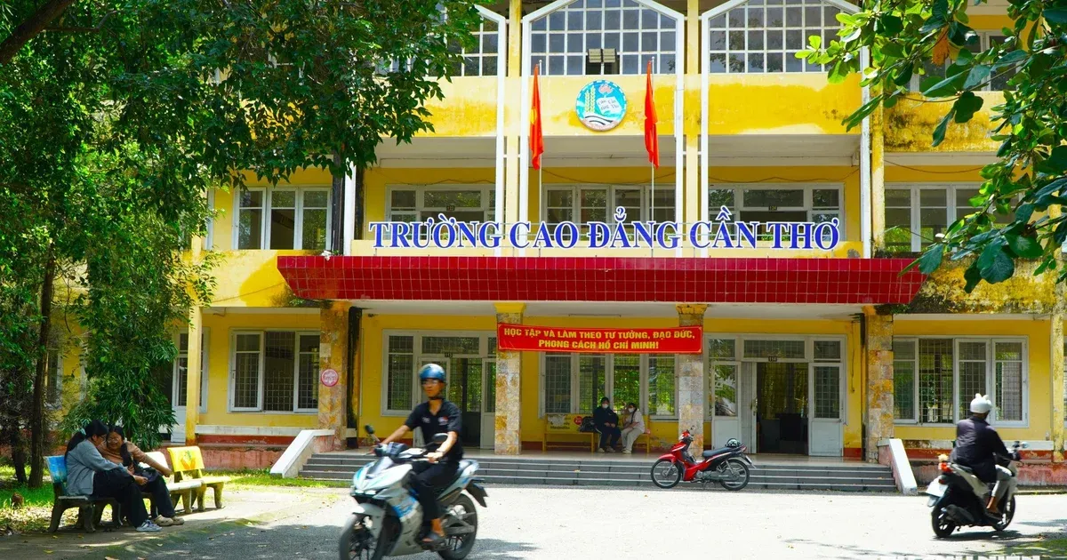 Sáp nhập trường cao đẳng: Cơ hội hay rủi ro cho sinh viên?