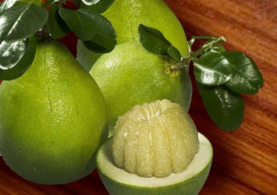 Bưởi Việt mở cửa Australia: Từ cú tạm dừng đến tái thiết chuỗi cung ứng
