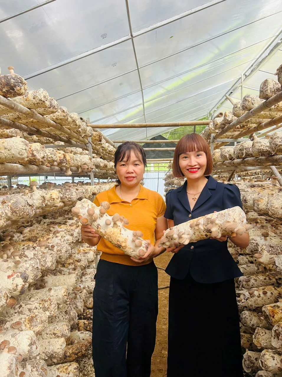 Từ chất lượng đến danh tính: con đường sống còn của thương hiệu Việt