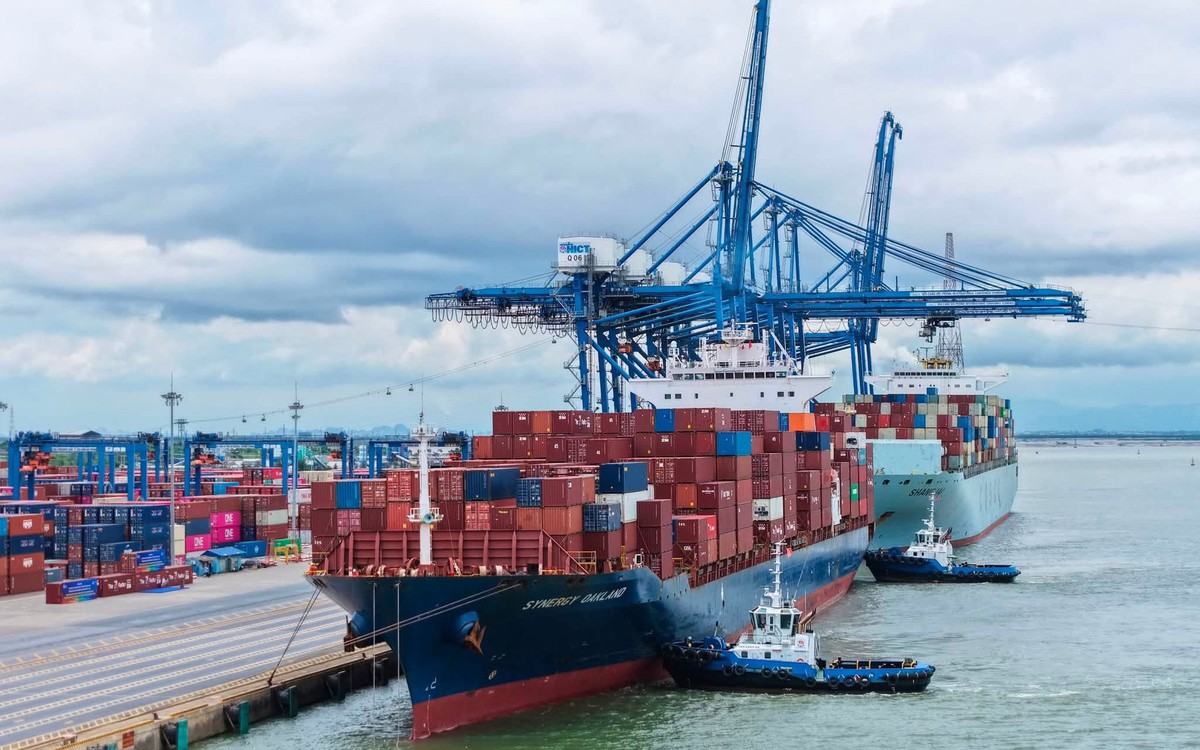 Cảng biển Việt Nam bứt tốc lợi nhuận nhờ làn sóng hàng hóa