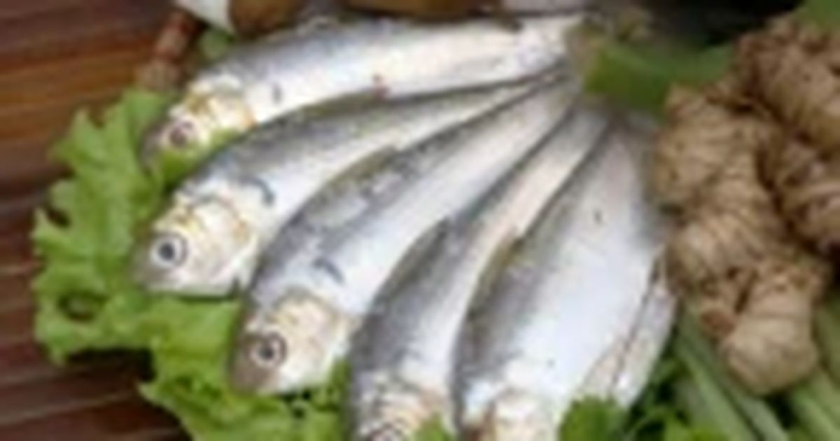 Cá mòi, cá nục, cá cơm: lựa chọn omega-3 thay thế cá hồi