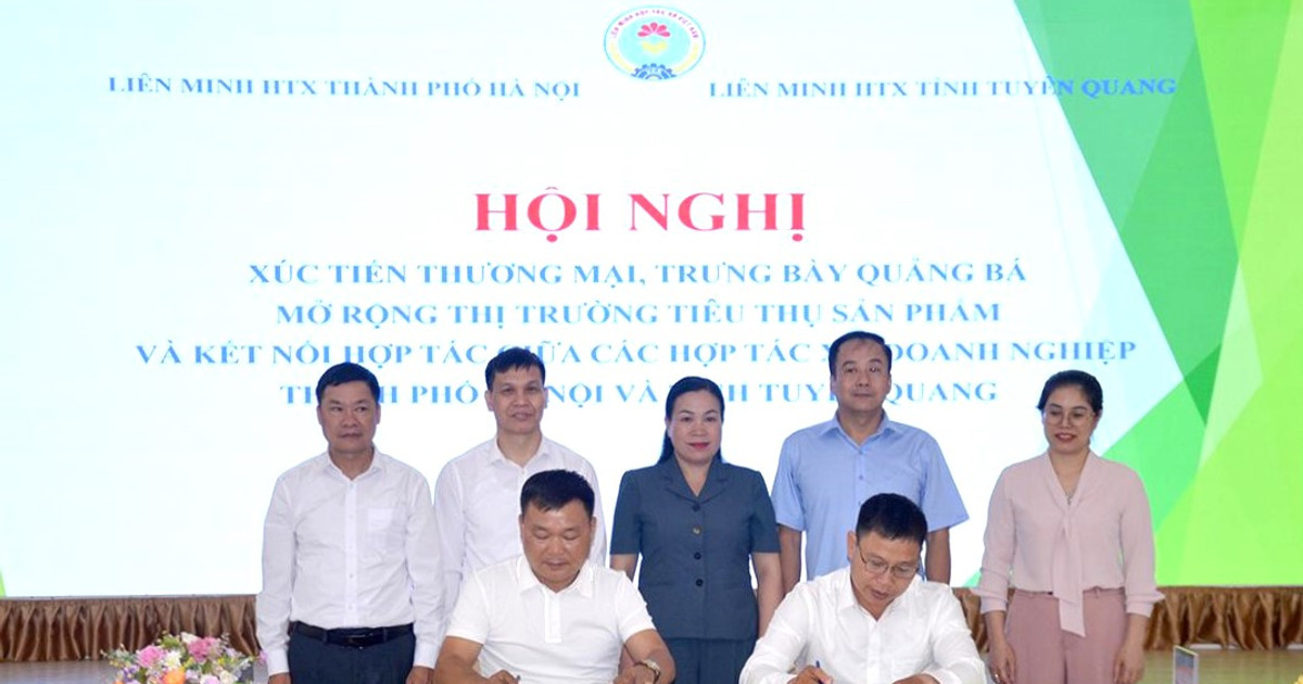 Từ sản phẩm OCOP đến bàn ăn nhà hàng: Hành trình mở rộng thị trường cho đặc sản địa phương