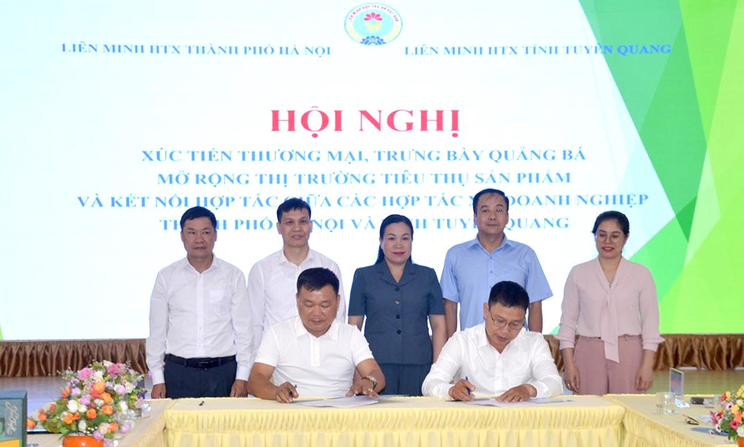 Từ sản phẩm OCOP đến bàn ăn nhà hàng: Hành trình mở rộng thị trường cho đặc sản địa phương