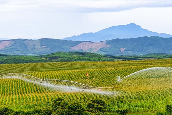 368 tỷ USD cho chuyển đổi xanh: Cửa mở nhưng ai bước vào?