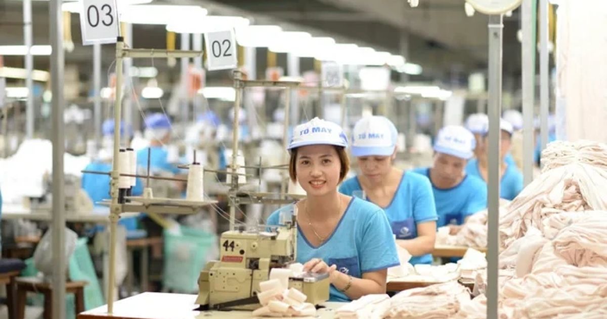 Tập đoàn Dệt May Việt Nam vượt kế hoạch lợi nhuận: ngành may trở thành động lực chính