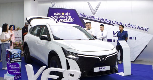 Chương trình 'Vì tương lai xanh' lần 2: nên chọn xe VinFast nào để tiết kiệm nhất?