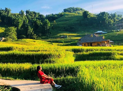 Săn ảnh mùa vàng lúa chín ở Tây Bắc: ánh sáng và địa điểm đẹp nhất