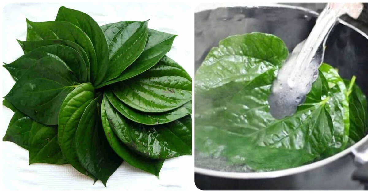 Cách chế biến rau lang và rau dân gian để giữ dưỡng chất cho gan, đường huyết