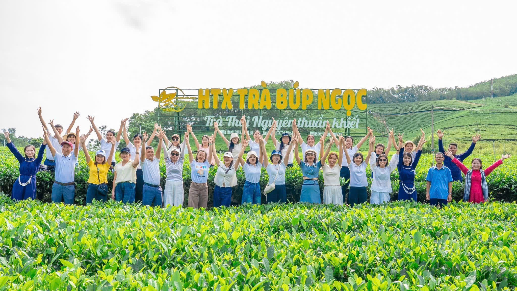 Festival Trà Quốc tế Thái Nguyên: Tách trà mở lối du lịch sinh thái