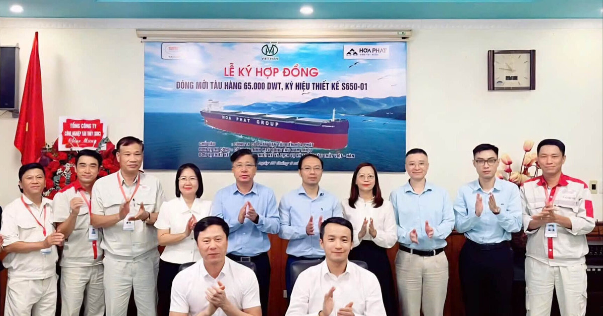 Tàu chở hàng 65.000 DWT: bước ngoặt cho ngành đóng tàu Việt Nam?