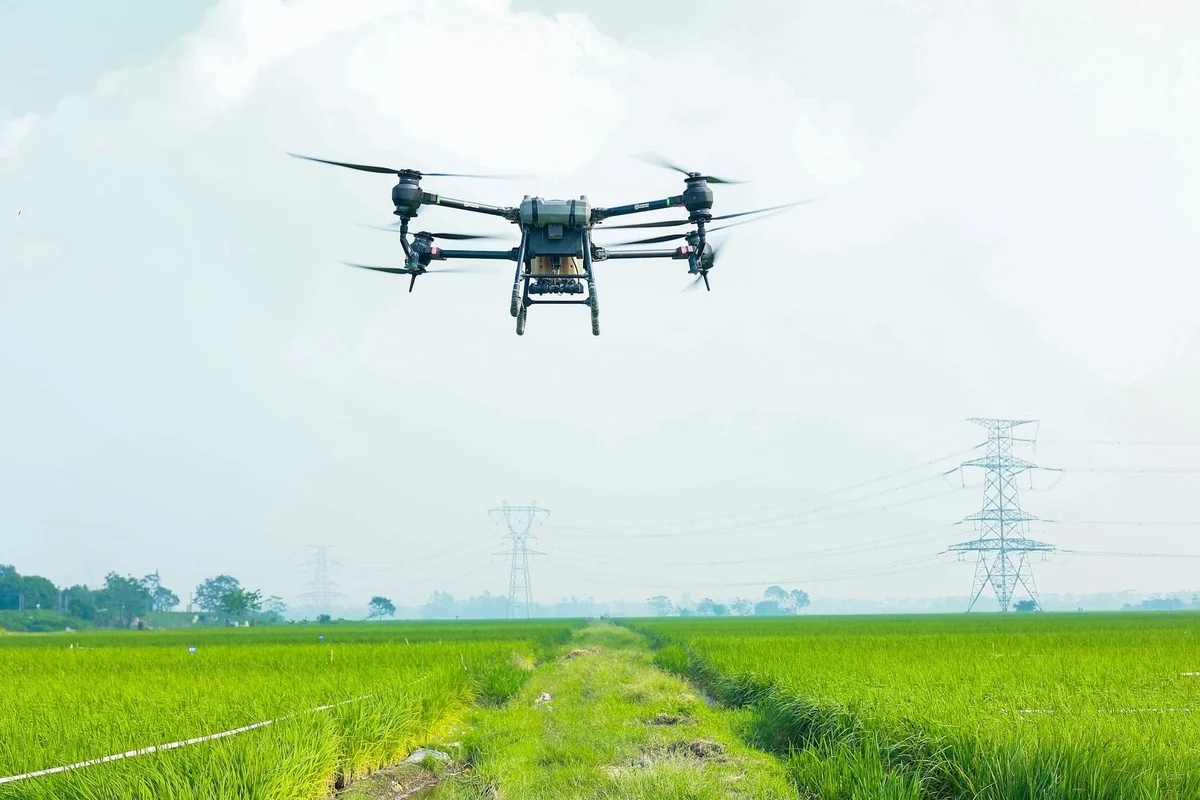 Nhiếp ảnh drone tiết lộ câu chuyện thật đằng sau chuỗi cung ứng thực phẩm